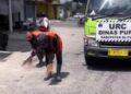 Petugas URC Kabupaten Blitar melakukan penambalan jalan berlubang jelang Lebaran 2026