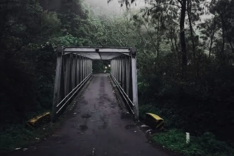 Jembatan Cangar Batu Mojokerto lokasi bunuh diri dan fenomena Werther Effect