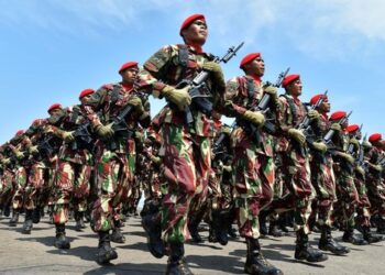 Ilustrasi TNI