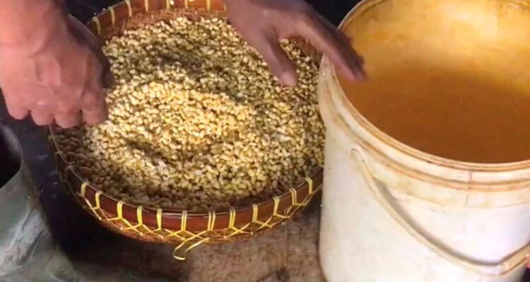 Produsen tahu di Trenggalek mengurangi ukuran tahu karena harga kedelai naik