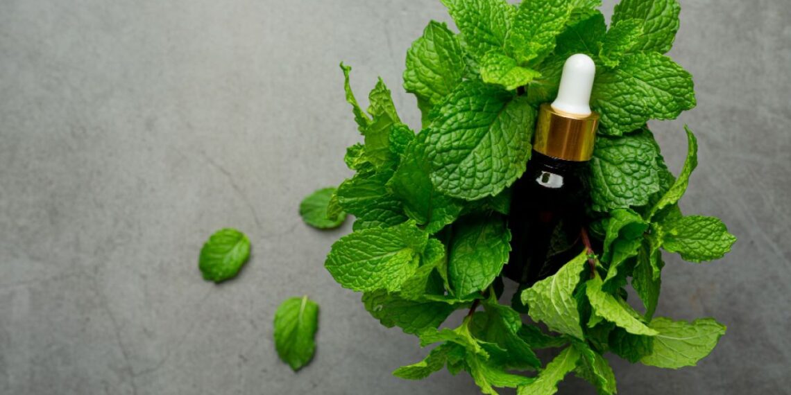 Ilustrasi minyak peppermint alami untuk membantu menurunkan tekanan darah tinggi dan hipertensi
