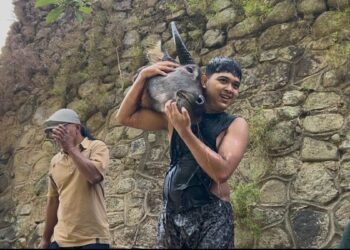 Warga berebut kepala kerbau saat tradisi Nyadran Dam Bagong di Trenggalek