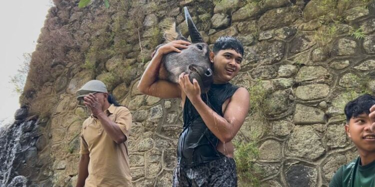 Warga berebut kepala kerbau saat tradisi Nyadran Dam Bagong di Trenggalek