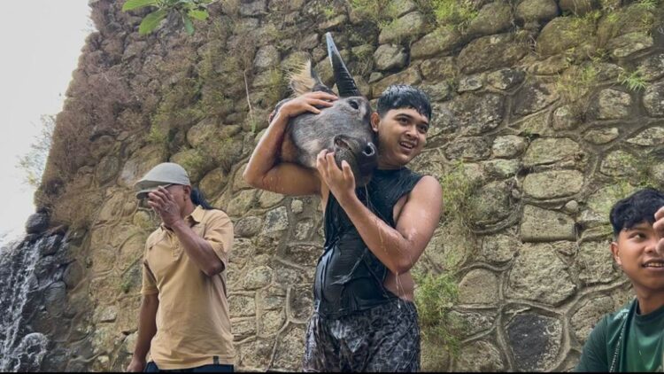 Warga berebut kepala kerbau saat tradisi Nyadran Dam Bagong di Trenggalek