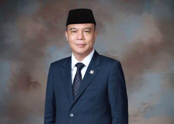 Wakil Ketua DPR RI Sufmi Dasco. Foto: istimewa