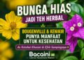 bunga bougenville berwarna ungu dan bunga kenikir hias kuning yang diseduh menjadi teh herbal