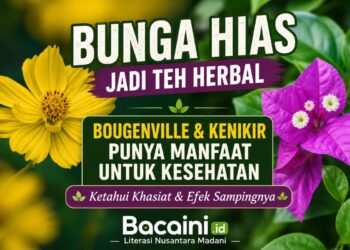 bunga bougenville berwarna ungu dan bunga kenikir hias kuning yang diseduh menjadi teh herbal