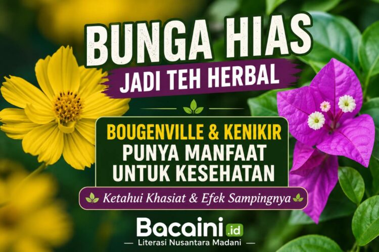 bunga bougenville berwarna ungu dan bunga kenikir hias kuning yang diseduh menjadi teh herbal