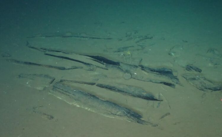 Fosil dan tulang paus di Whale Necropolis Zona Diamantina Samudra Hindia