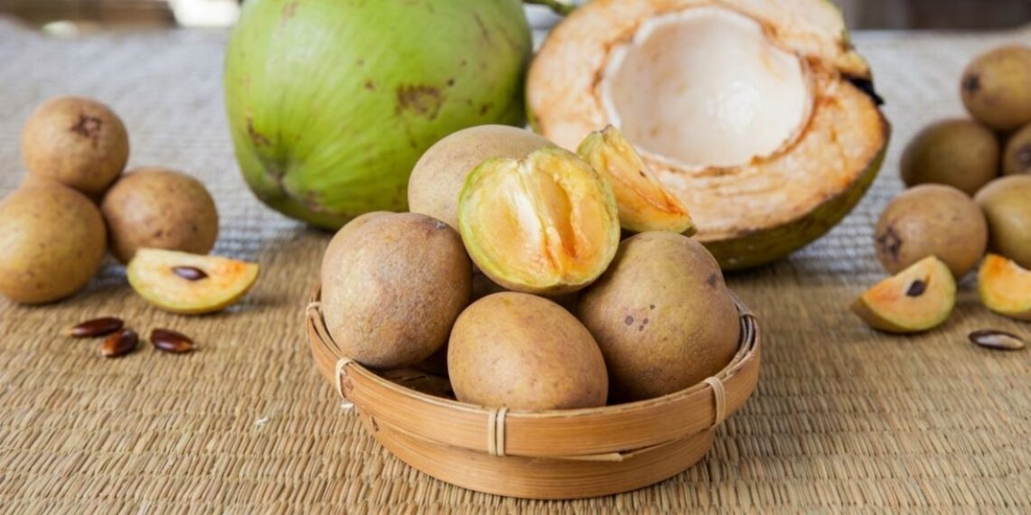 buah sawo matang kaya serat untuk lambung