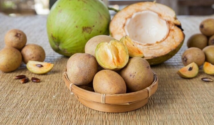 buah sawo matang kaya serat untuk lambung