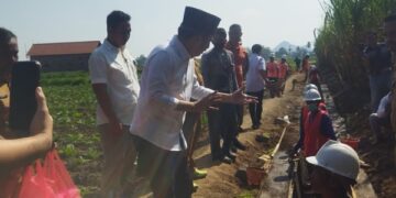 Bupati Jember, Muhammad Fawait saat meninjau lokasi pembangunan saluran irigasi di Kecamatan Jenggawah