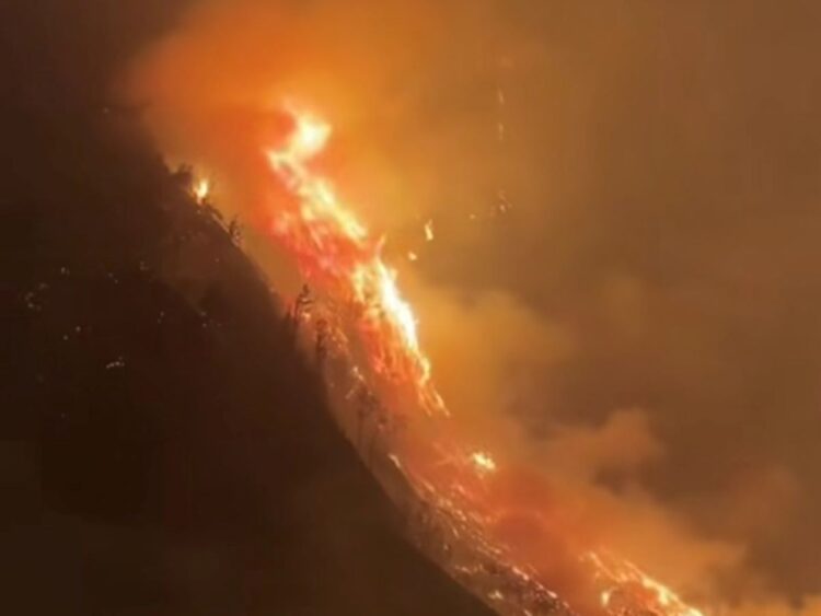 Kebakaran Bromo meluas di Blok Bantengan Senduro Lumajang