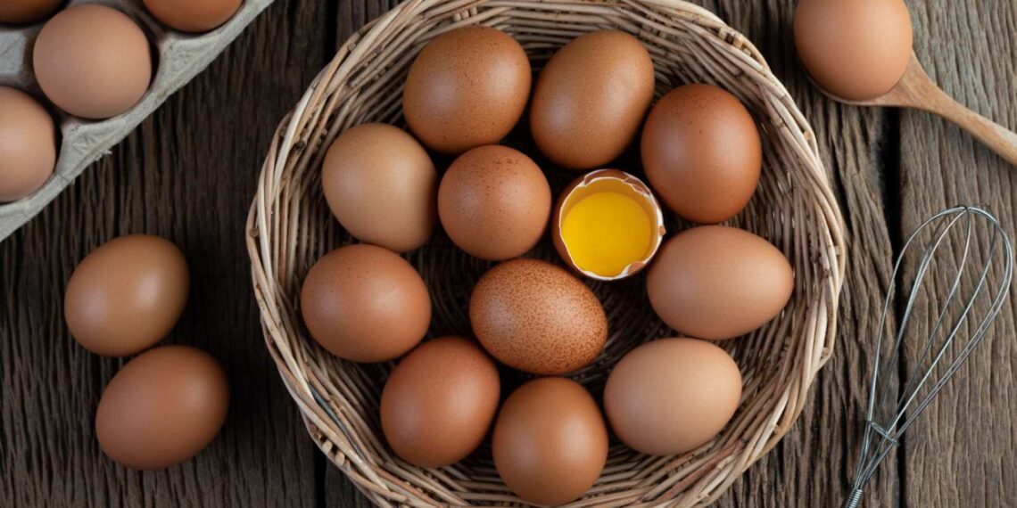 Telur ayam dan cara menyimpannya agar aman dari Salmonella