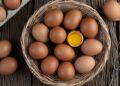 Telur ayam dan cara menyimpannya agar aman dari Salmonella