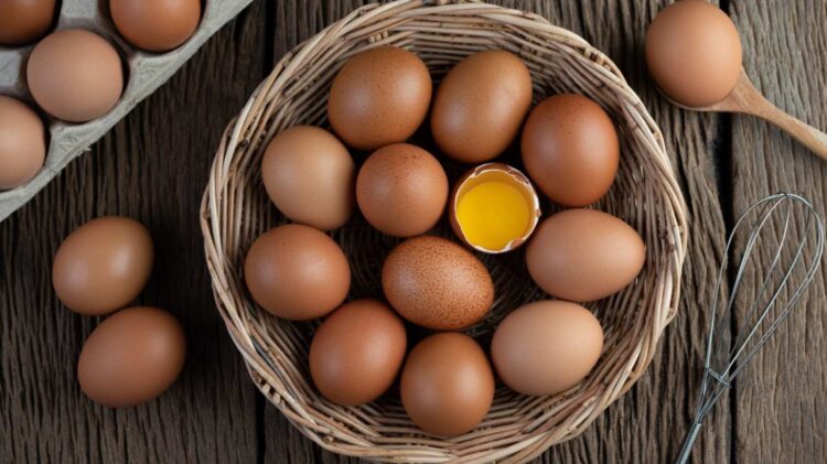 Telur ayam dan cara menyimpannya agar aman dari Salmonella