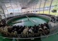 Ratusan warga Blitar menggelar demonstrasi terhadap Greenfields dan menuntut penghentian dugaan pembuangan limbah ke sungai