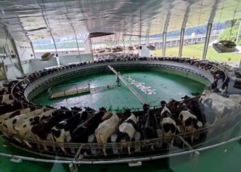 Ratusan warga Blitar menggelar demonstrasi terhadap Greenfields dan menuntut penghentian dugaan pembuangan limbah ke sungai
