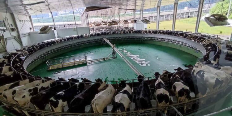 Warga Ngadirenggo bersama GMB berunjuk rasa mendesak penghentian dugaan pembuangan limbah Greenfields ke sungai di Blitar