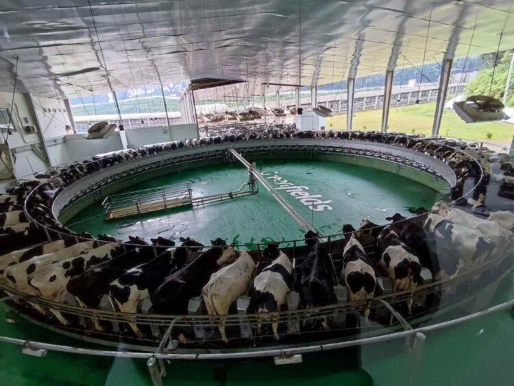 Ratusan warga Blitar menggelar demonstrasi terhadap Greenfields dan menuntut penghentian dugaan pembuangan limbah ke sungai